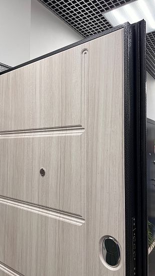 Входная дверь  